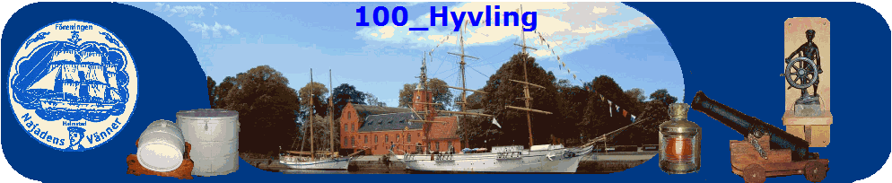 100_Hyvling